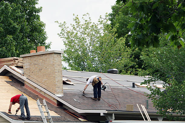 Best Storm Damage Roof Repair  in Jewett City, CT